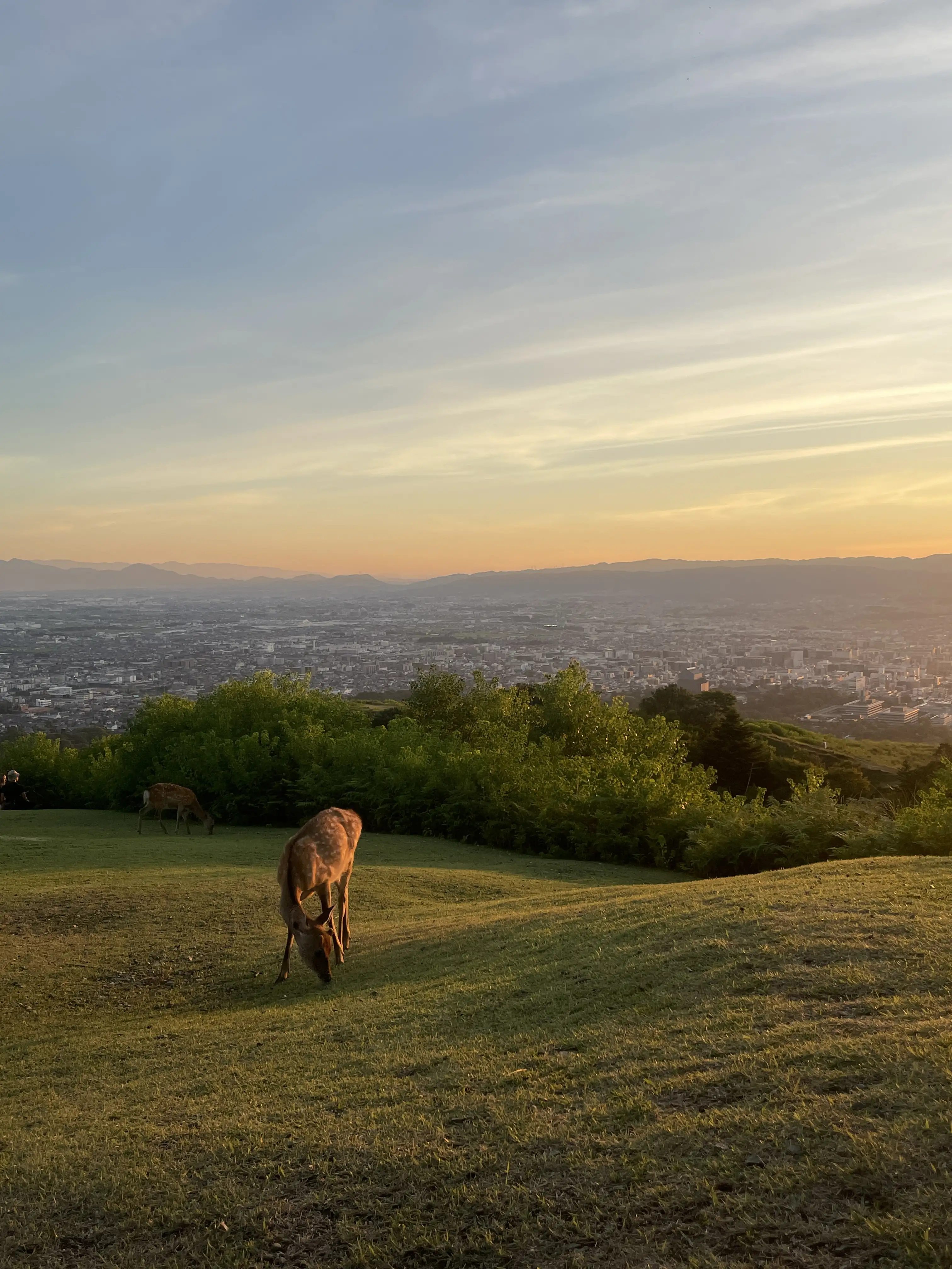 Thumbnail for Mount Wakakusa