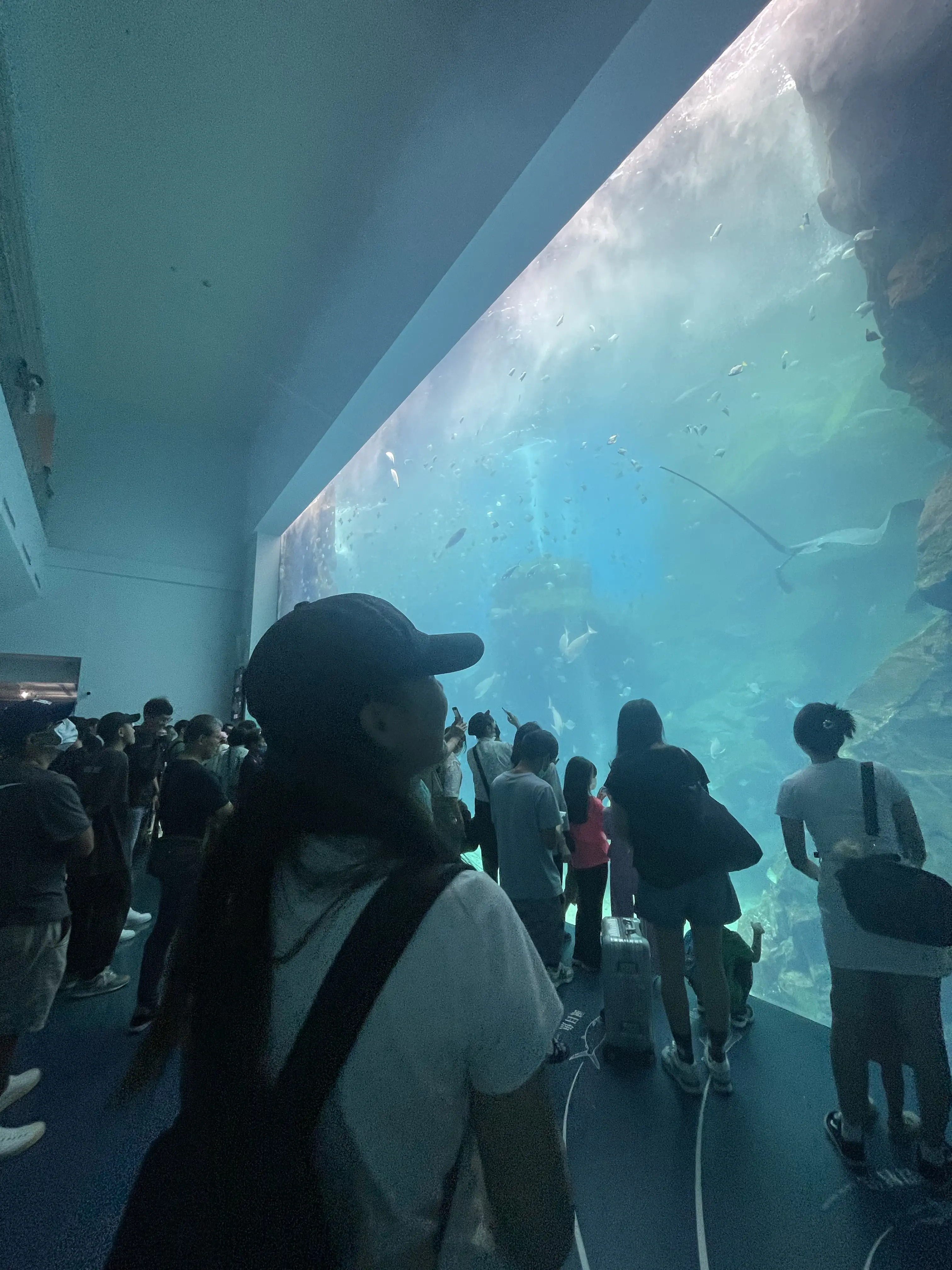 Thumbnail for xPark Aquarium